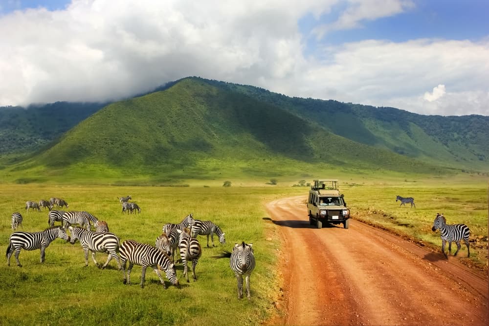 Ngorongoro