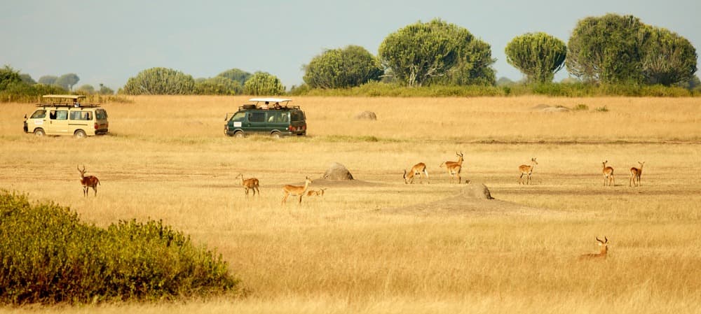 Safari en jeep dans le parc national de Kidepo Valley