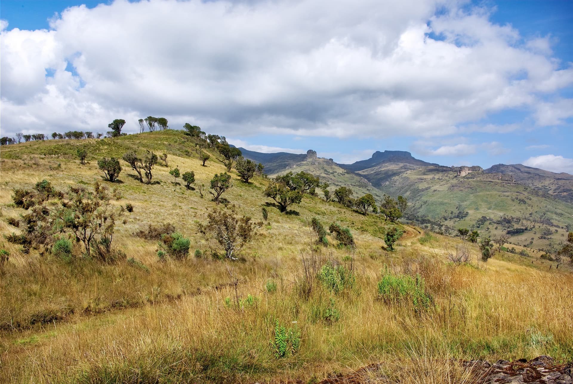 Parque Nacional del Monte Elgón