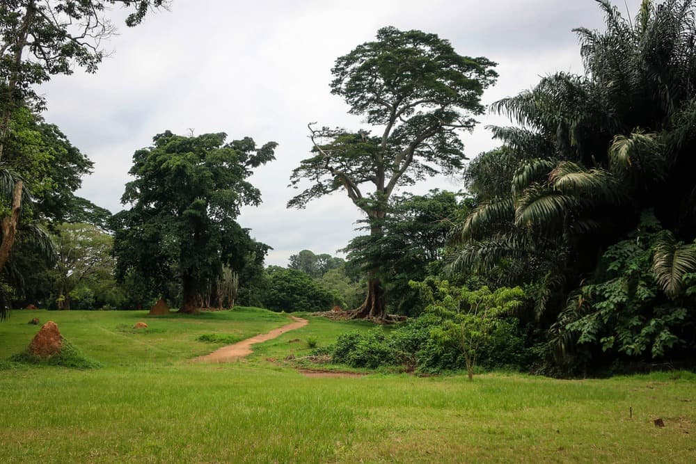 Jardín Botánico de Entebbe